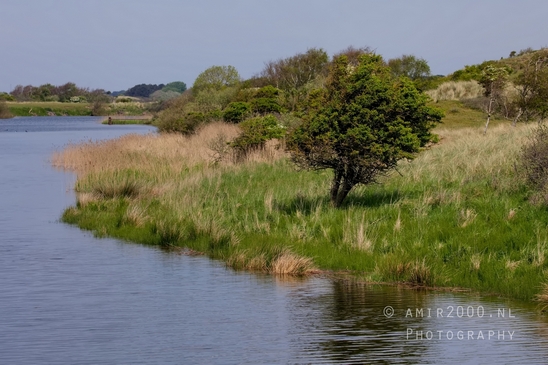 Landscape_Amsterdamse_Waterleidingduinen_nature_Amsterdam_Netherlands_Photography_161_Canon_EOS_5D_Mark_IV.JPG