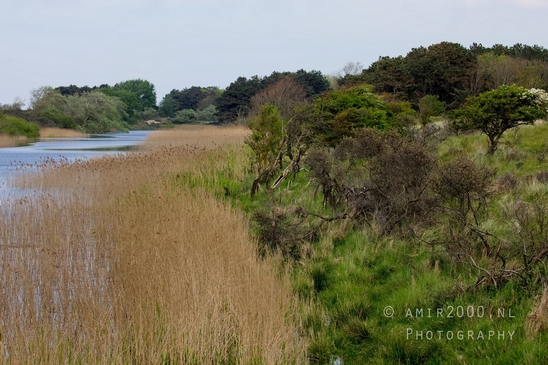 Landscape_Amsterdamse_Waterleidingduinen_nature_Amsterdam_Netherlands_Photography_165_Canon_EOS_5D_Mark_IV.JPG