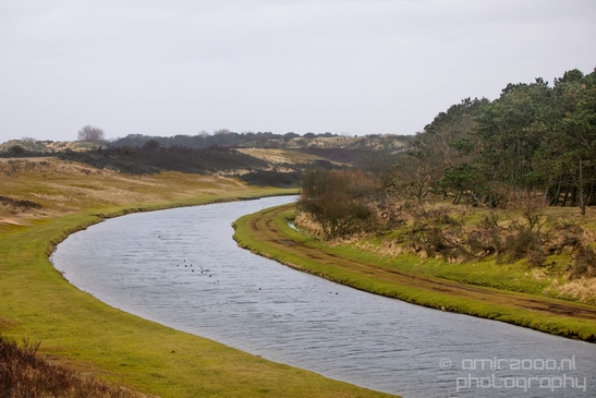 Landscape_Amsterdamse_Waterleidingduinen_nature_Amsterdam_Netherlands_Photography_204_Canon_EOS_5D_Mark_IV.JPG