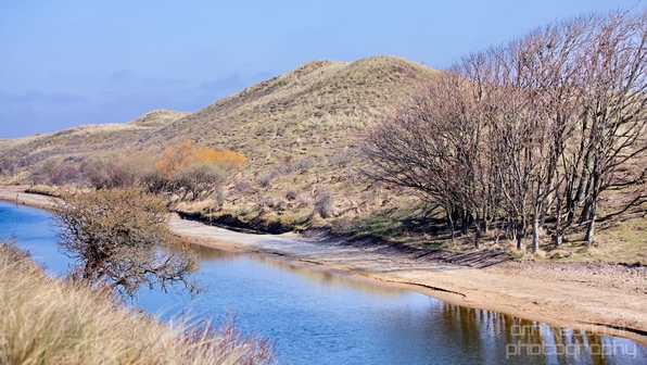 Landscape_Amsterdamse_Waterleidingduinen_nature_Amsterdam_Netherlands_Photography_215_Canon_EOS_5D_Mark_IV.JPG