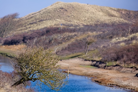 Landscape_Amsterdamse_Waterleidingduinen_nature_Amsterdam_Netherlands_Photography_221_Canon_EOS_5D_Mark_IV.JPG