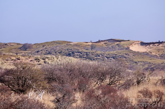 Landscape_Amsterdamse_Waterleidingduinen_nature_Amsterdam_Netherlands_Photography_222_Canon_EOS_5D_Mark_IV.JPG