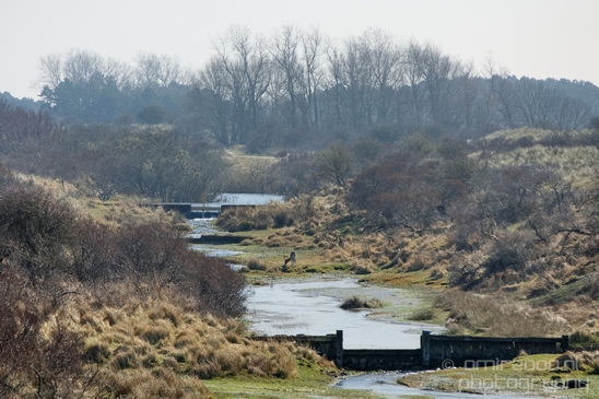 Landscape_Amsterdamse_Waterleidingduinen_nature_Amsterdam_Netherlands_Photography_224_Canon_EOS_5D_Mark_IV.JPG