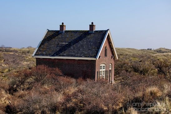 Landscape_Amsterdamse_Waterleidingduinen_nature_Amsterdam_Netherlands_Photography_225_Canon_EOS_5D_Mark_IV.JPG