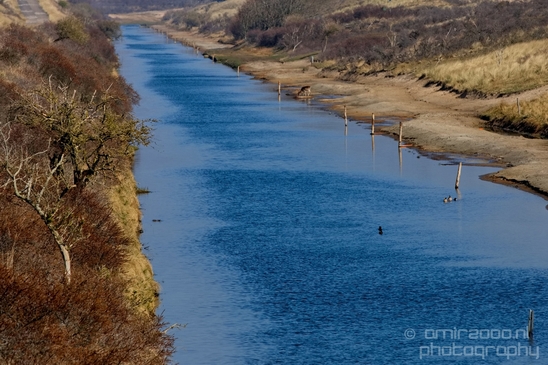 Landscape_Amsterdamse_Waterleidingduinen_nature_Amsterdam_Netherlands_Photography_226_Canon_EOS_5D_Mark_IV.JPG