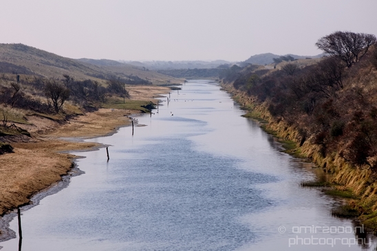 Landscape_Amsterdamse_Waterleidingduinen_nature_Amsterdam_Netherlands_Photography_227_Canon_EOS_5D_Mark_IV.JPG