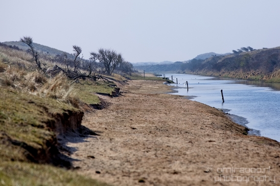 Landscape_Amsterdamse_Waterleidingduinen_nature_Amsterdam_Netherlands_Photography_228_Canon_EOS_5D_Mark_IV.JPG