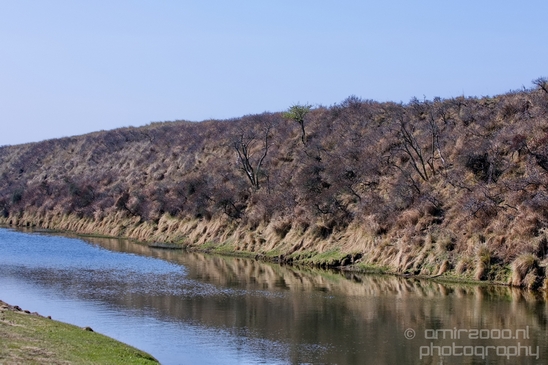 Landscape_Amsterdamse_Waterleidingduinen_nature_Amsterdam_Netherlands_Photography_229_Canon_EOS_5D_Mark_IV.JPG