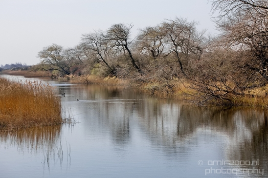 Landscape_Amsterdamse_Waterleidingduinen_nature_Amsterdam_Netherlands_Photography_235_Canon_EOS_5D_Mark_IV.JPG