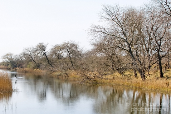 Landscape_Amsterdamse_Waterleidingduinen_nature_Amsterdam_Netherlands_Photography_236_Canon_EOS_5D_Mark_IV.JPG