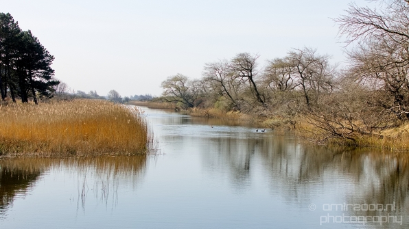 Landscape_Amsterdamse_Waterleidingduinen_nature_Amsterdam_Netherlands_Photography_239_Canon_EOS_5D_Mark_IV.JPG