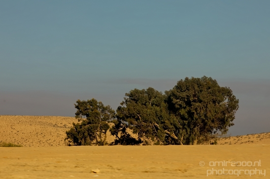 Landscape_Nature_Arava_and_Negev_desert_scenery_Israel_Photography_002_Canon_EOS_5D_Mark_IV.JPG