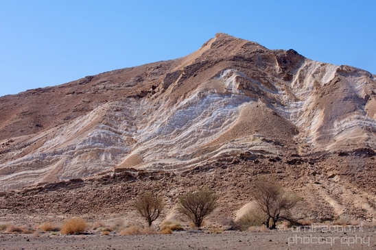 Landscape_Nature_Arava_and_Negev_desert_scenery_Israel_Photography_019_Canon_EOS_5D_Mark_IV.JPG