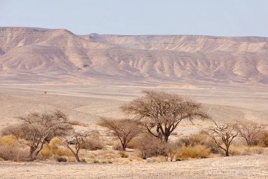 Landscape_Nature_Arava_and_Negev_desert_scenery_Israel_Photography_031_Canon_EOS_5D_Mark_IV.JPG