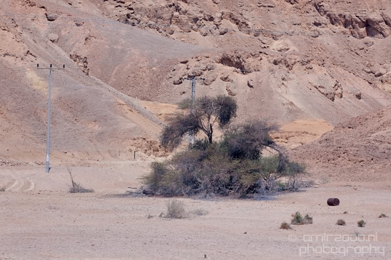 Landscape_Nature_Arava_and_Negev_desert_scenery_Israel_Photography_034_Canon_EOS_5D_Mark_IV.JPG