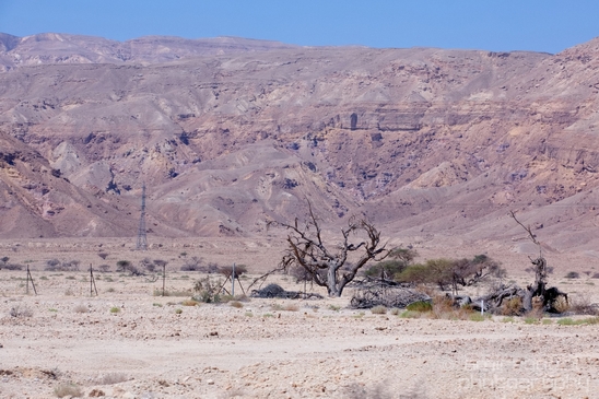 Landscape_Nature_Arava_and_Negev_desert_scenery_Israel_Photography_035_Canon_EOS_5D_Mark_IV.JPG