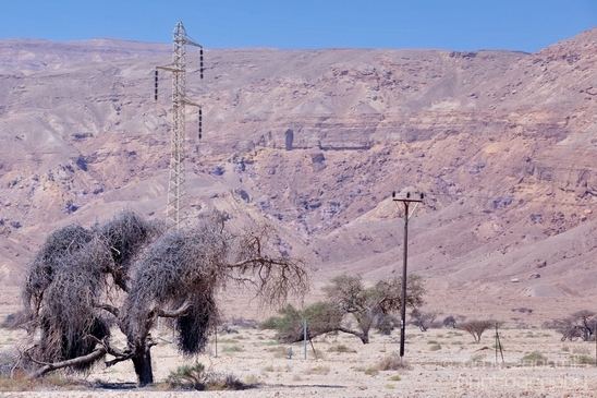 Landscape_Nature_Arava_and_Negev_desert_scenery_Israel_Photography_036_Canon_EOS_5D_Mark_IV.JPG