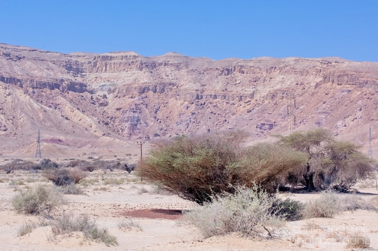 Landscape_Nature_Arava_and_Negev_desert_scenery_Israel_Photography_037_Canon_EOS_5D_Mark_IV.JPG