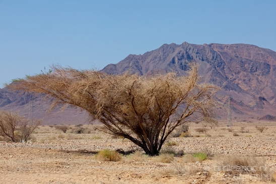 Landscape_Nature_Arava_and_Negev_desert_scenery_Israel_Photography_041_Canon_EOS_5D_Mark_IV.JPG