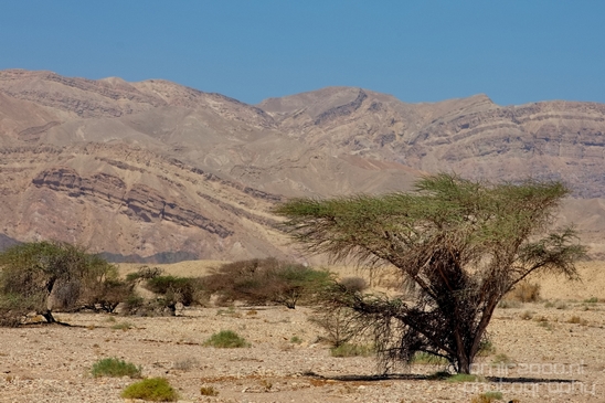 Landscape_Nature_Arava_and_Negev_desert_scenery_Israel_Photography_044_Canon_EOS_5D_Mark_IV.JPG