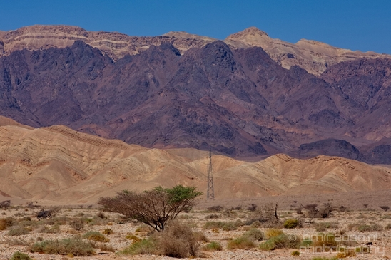 Landscape_Nature_Arava_and_Negev_desert_scenery_Israel_Photography_046_Canon_EOS_5D_Mark_IV.JPG