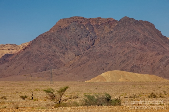 Landscape_Nature_Arava_and_Negev_desert_scenery_Israel_Photography_049_Canon_EOS_5D_Mark_IV.JPG