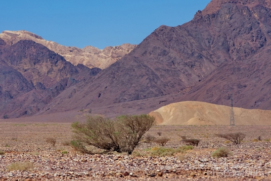 Landscape_Nature_Arava_and_Negev_desert_scenery_Israel_Photography_050_Canon_EOS_5D_Mark_IV.JPG
