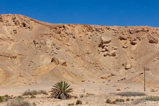 Landscape_Nature_Arava_and_Negev_desert_scenery_Israel_Photography_062_Canon_EOS_5D_Mark_IV.JPG