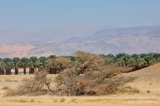 Landscape_Nature_Arava_and_Negev_desert_scenery_Israel_Photography_063_Canon_EOS_5D_Mark_IV.JPG