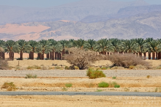 Landscape_Nature_Arava_and_Negev_desert_scenery_Israel_Photography_064_Canon_EOS_5D_Mark_IV.JPG