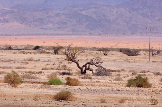 Landscape_Nature_Arava_and_Negev_desert_scenery_Israel_Photography_065_Canon_EOS_5D_Mark_IV.JPG