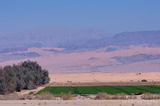 Landscape_Nature_Arava_and_Negev_desert_scenery_Israel_Photography_068_Canon_EOS_5D_Mark_IV.JPG