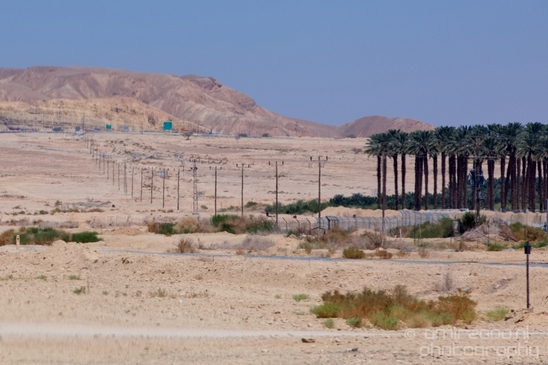 Landscape_Nature_Arava_and_Negev_desert_scenery_Israel_Photography_070_Canon_EOS_5D_Mark_IV.JPG