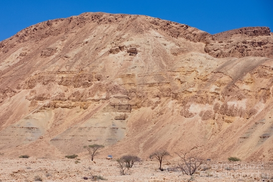 Landscape_Nature_Arava_and_Negev_desert_scenery_Israel_Photography_071_Canon_EOS_5D_Mark_IV.JPG