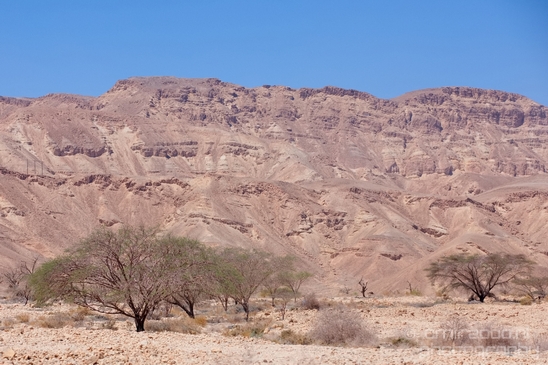 Landscape_Nature_Arava_and_Negev_desert_scenery_Israel_Photography_072_Canon_EOS_5D_Mark_IV.JPG