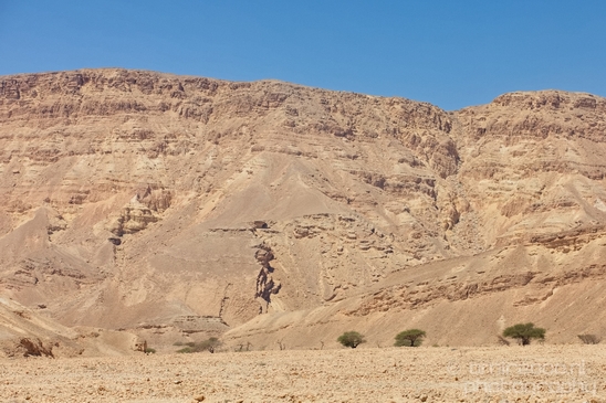 Landscape_Nature_Arava_and_Negev_desert_scenery_Israel_Photography_075_Canon_EOS_5D_Mark_IV.JPG