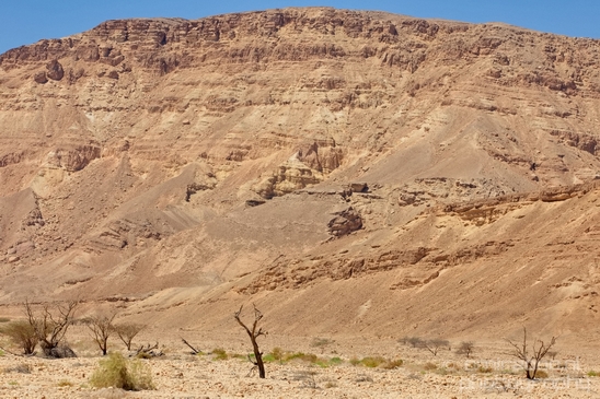 Landscape_Nature_Arava_and_Negev_desert_scenery_Israel_Photography_076_Canon_EOS_5D_Mark_IV.JPG