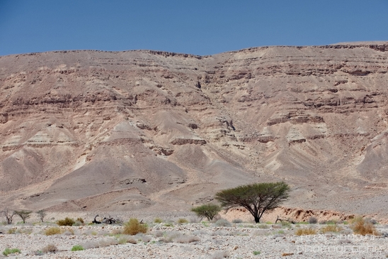 Landscape_Nature_Arava_and_Negev_desert_scenery_Israel_Photography_080_Canon_EOS_5D_Mark_IV.JPG