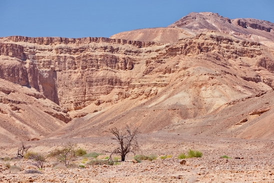 Landscape_Nature_Arava_and_Negev_desert_scenery_Israel_Photography_082_Canon_EOS_5D_Mark_IV.JPG