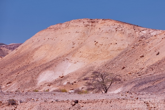 Landscape_Nature_Arava_and_Negev_desert_scenery_Israel_Photography_084_Canon_EOS_5D_Mark_IV.JPG