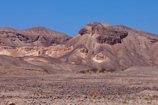 Landscape_Nature_Arava_and_Negev_desert_scenery_Israel_Photography_088_Canon_EOS_5D_Mark_IV.JPG
