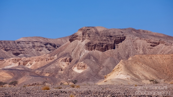 Landscape_Nature_Arava_and_Negev_desert_scenery_Israel_Photography_089_Canon_EOS_5D_Mark_IV.JPG