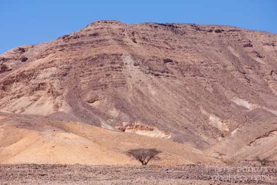 Landscape_Nature_Arava_and_Negev_desert_scenery_Israel_Photography_090_Canon_EOS_5D_Mark_IV.JPG
