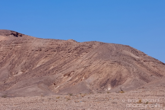 Landscape_Nature_Arava_and_Negev_desert_scenery_Israel_Photography_091_Canon_EOS_5D_Mark_IV.JPG