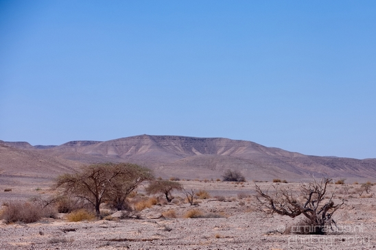 Landscape_Nature_Arava_and_Negev_desert_scenery_Israel_Photography_092_Canon_EOS_5D_Mark_IV.JPG