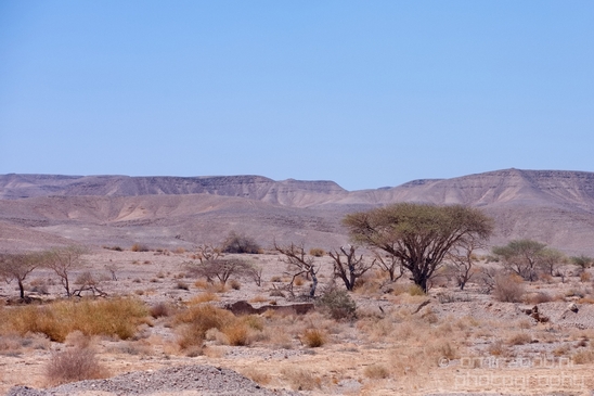 Landscape_Nature_Arava_and_Negev_desert_scenery_Israel_Photography_093_Canon_EOS_5D_Mark_IV.JPG