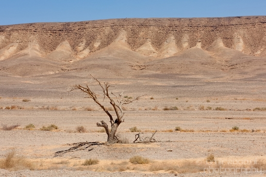 Landscape_Nature_Arava_and_Negev_desert_scenery_Israel_Photography_094_Canon_EOS_5D_Mark_IV.JPG