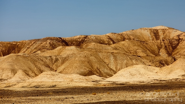 Landscape_Nature_Arava_and_Negev_desert_scenery_Israel_Photography_104_Canon_EOS_5D_Mark_IV.JPG