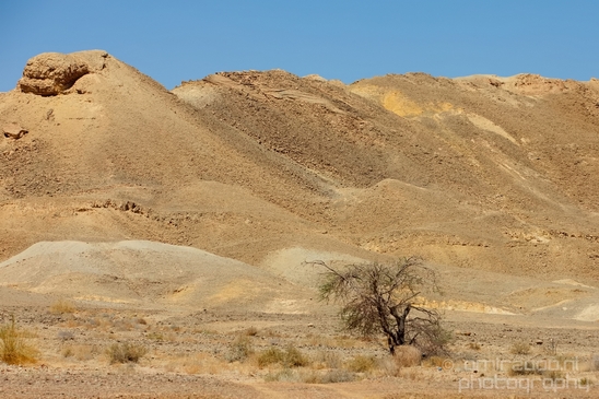 Landscape_Nature_Arava_and_Negev_desert_scenery_Israel_Photography_109_Canon_EOS_5D_Mark_IV.JPG