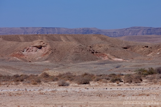 Landscape_Nature_Arava_and_Negev_desert_scenery_Israel_Photography_112_Canon_EOS_5D_Mark_IV.JPG